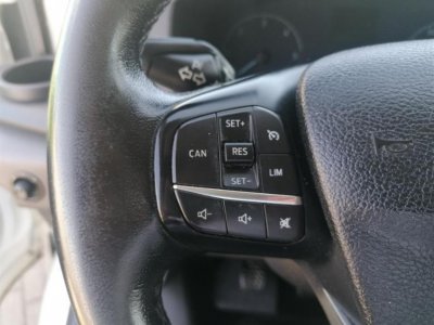FORD Transit 2,0 EcoBlue AWD 4x4 (96 kW, 2000 ccm)