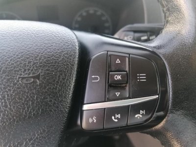 FORD Transit 2,0 EcoBlue AWD 4x4 (96 kW, 2000 ccm)